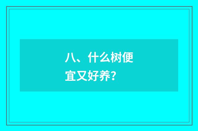 八、什么树便宜又好养?