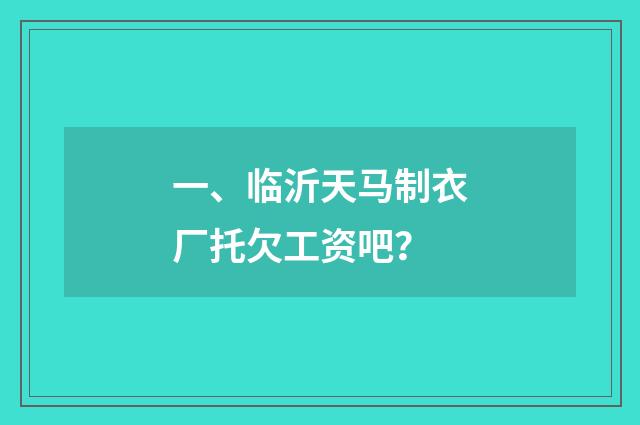一、临沂天马制衣厂托欠工资吧?
