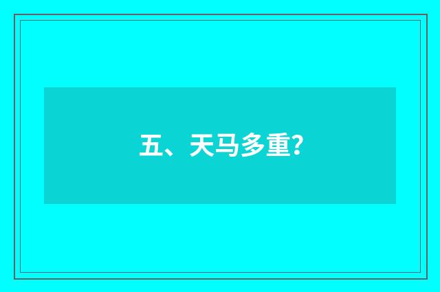 五、天马多重？