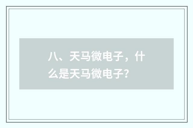 八、天马微电子，什么是天马微电子？