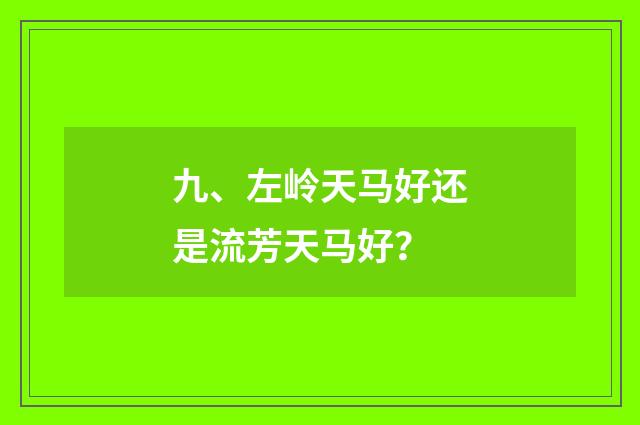 九、左岭天马好还是流芳天马好?