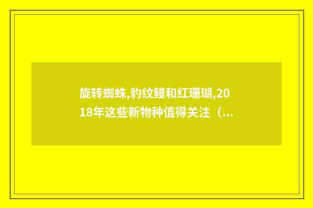 旋转蜘蛛,豹纹鳗和红珊瑚,2018年这些新物种值得关注（英语双语阅读）