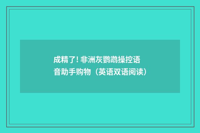 成精了! 非洲灰鹦鹉操控语音助手购物（英语双语阅读）