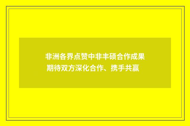 非洲各界点赞中非丰硕合作成果 期待双方深化合作、携手共赢