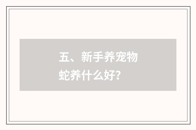 五、新手养宠物蛇养什么好?