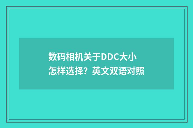 数码相机关于DDC大小怎样选择?英文双语对照
