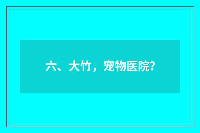 六、大竹,宠物医院?