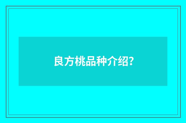 良方桃品种介绍?