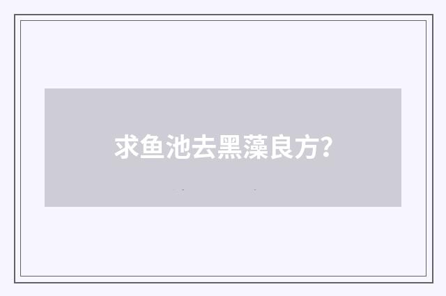 求鱼池去黑藻良方?