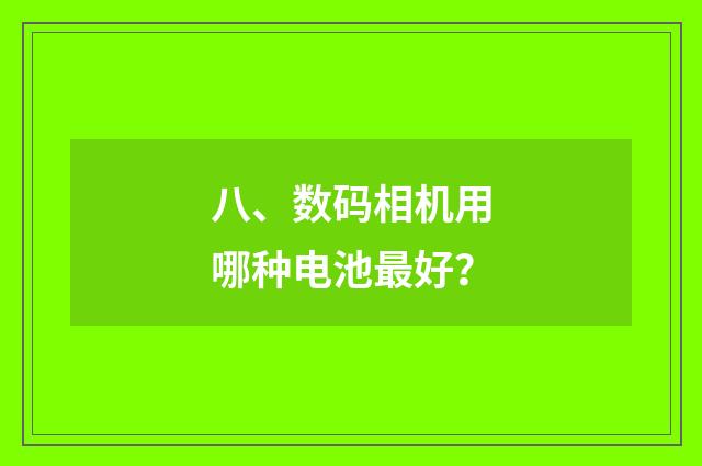八、数码相机用哪种电池最好?