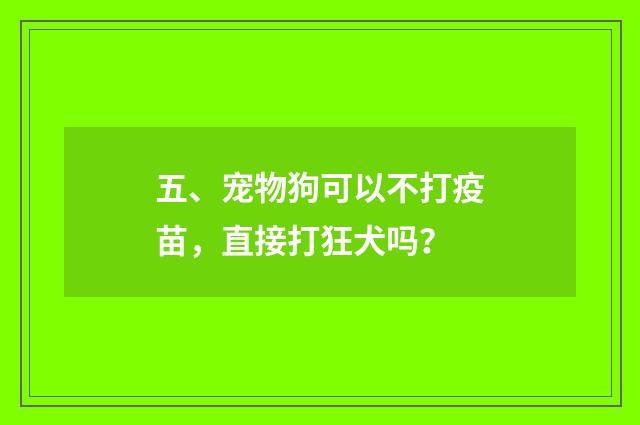 五、宠物狗可以不打疫苗，直接打狂犬吗？
