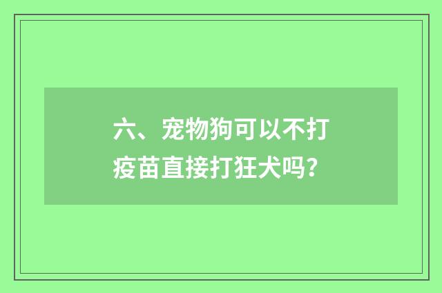 六、宠物狗可以不打疫苗直接打狂犬吗?