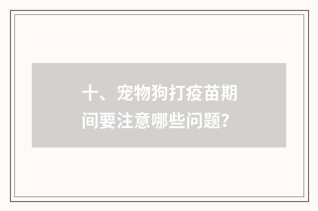 十、宠物狗打疫苗期间要注意哪些问题?