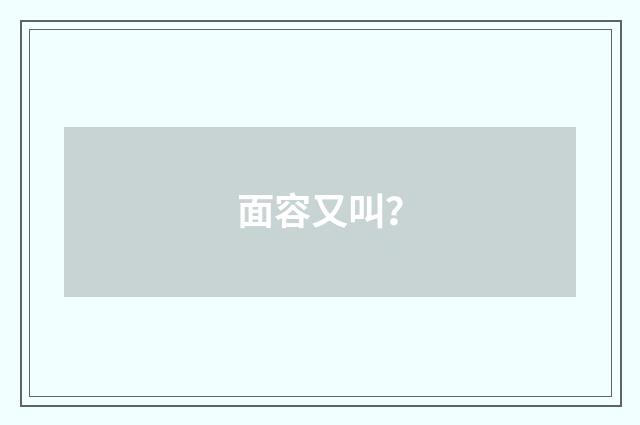 面容又叫?