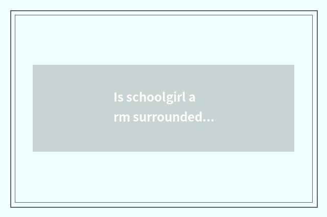 Is schoolgirl arm surrounded how much to spend to calculate fine?