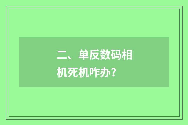 二、单反数码相机死机咋办?