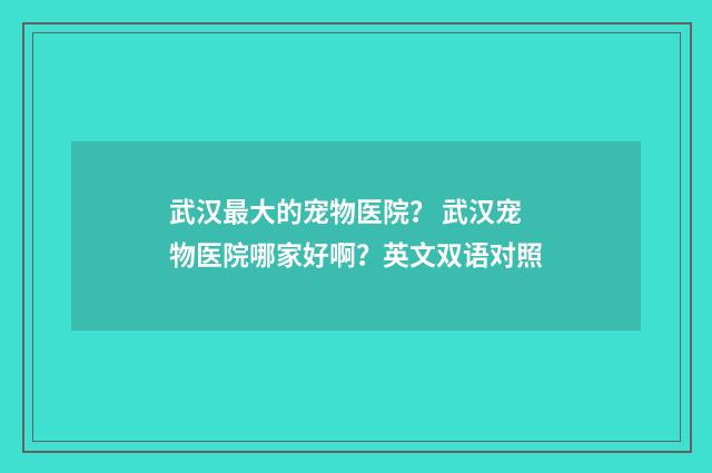 武汉最大的宠物医院? 武汉宠物医院哪家好啊?英文双语对照