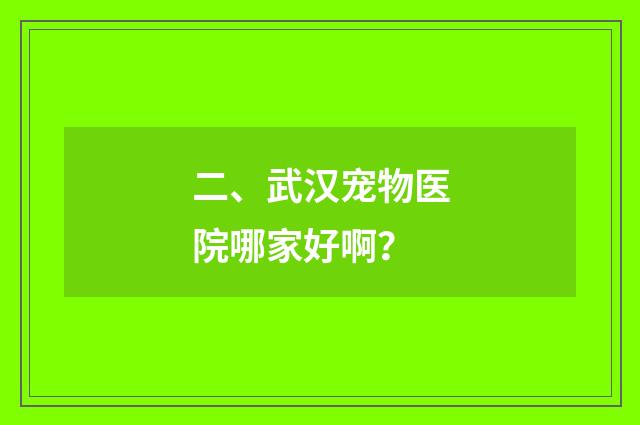 二、武汉宠物医院哪家好啊?
