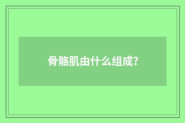 骨骼肌由什么组成?