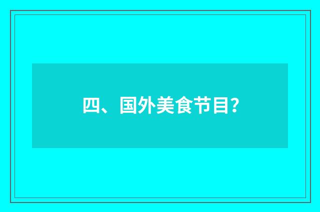 四、国外美食节目?