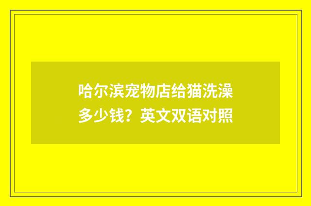 哈尔滨宠物店给猫洗澡多少钱?英文双语对照