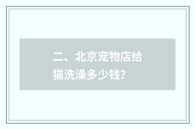 二、北京宠物店给猫洗澡多少钱?