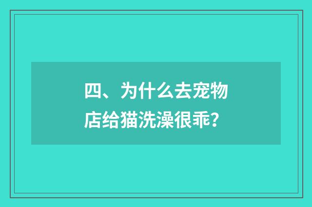 四、为什么去宠物店给猫洗澡很乖？