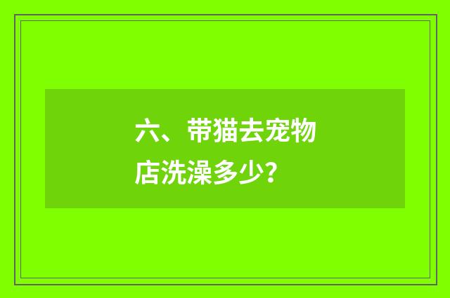 六、带猫去宠物店洗澡多少?