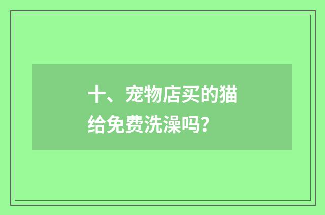 十、宠物店买的猫给免费洗澡吗?