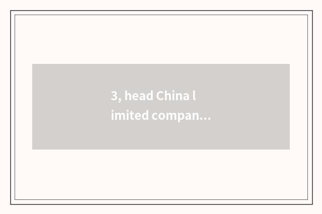 3, head China limited company of group of network of finance and economics how?