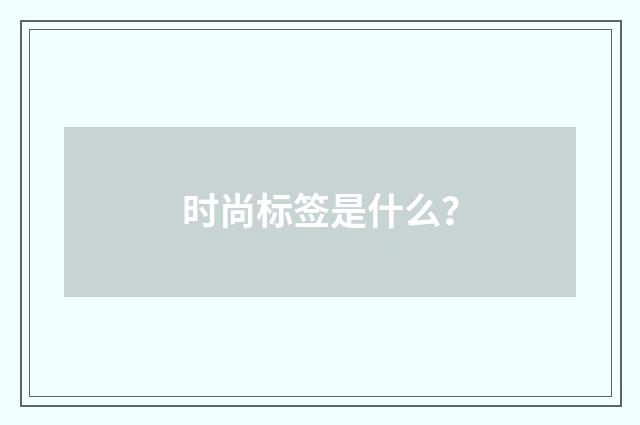 时尚标签是什么?