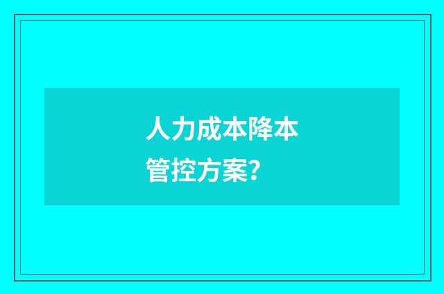 人力成本降本管控方案？