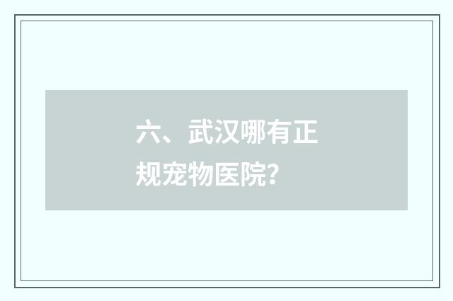 六、武汉哪有正规宠物医院？