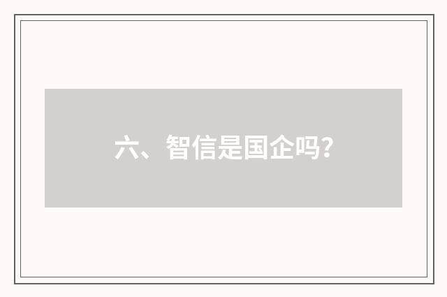 六、智信是国企吗?