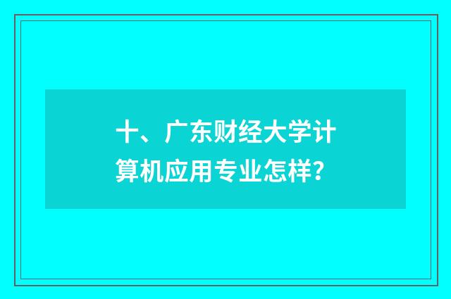 十、广东财经大学计算机应用专业怎样?