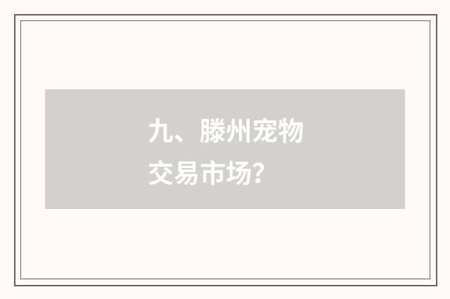 九、滕州宠物交易市场？