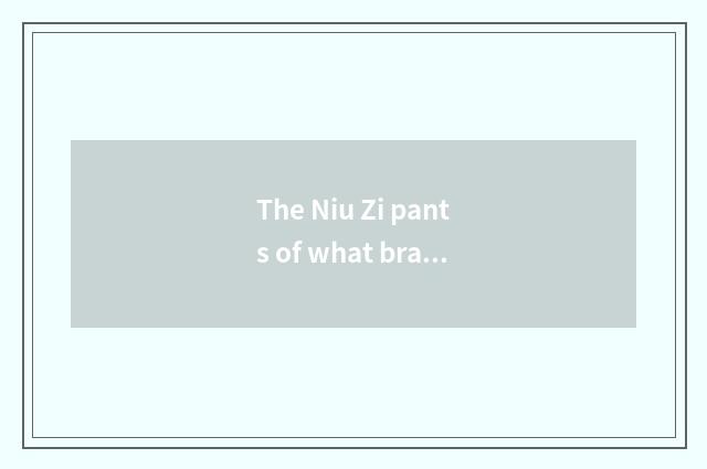 The Niu Zi pants of what brand is more fashionable?