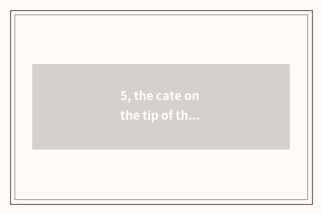 5, the cate on the tip of the tongue of suitable heart cate?
