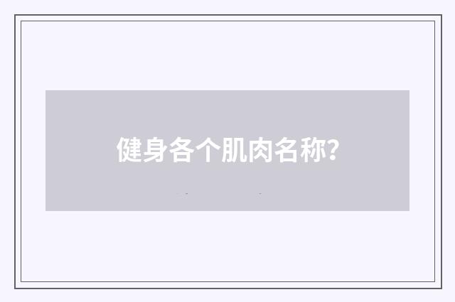 健身各个肌肉名称？