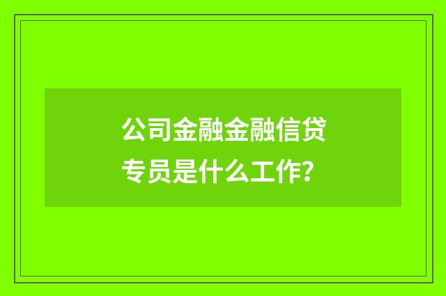 公司金融金融信贷专员是什么工作?