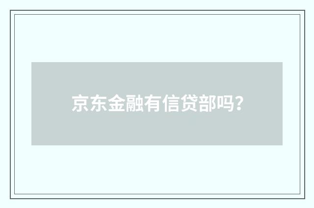 京东金融有信贷部吗？