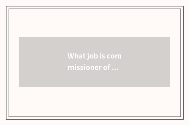 What job is commissioner of credit of company banking finance?