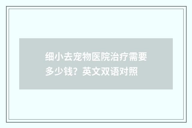 细小去宠物医院治疗需要多少钱?英文双语对照