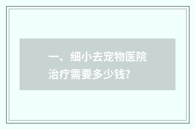 一、细小去宠物医院治疗需要多少钱？