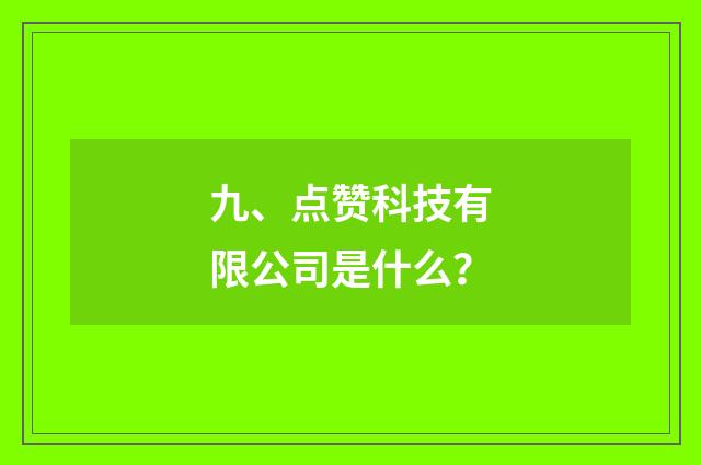 九、点赞科技有限公司是什么？