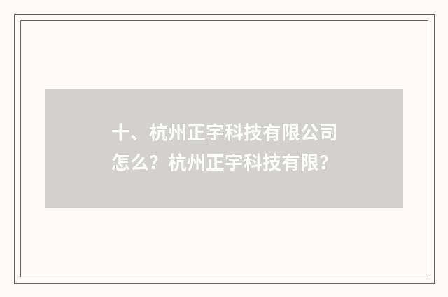 十、杭州正宇科技有限公司怎么？杭州正宇科技有限？