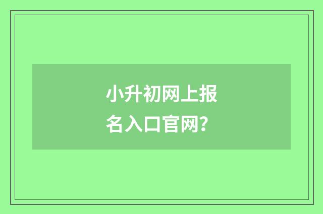 小升初网上报名入口官网?