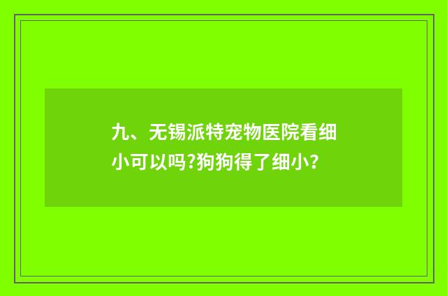 九、无锡派特宠物医院看细小可以吗?狗狗得了细小?