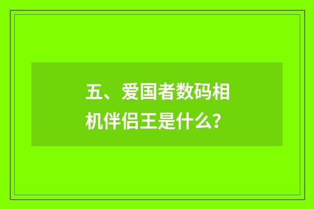 五、爱国者数码相机伴侣王是什么?