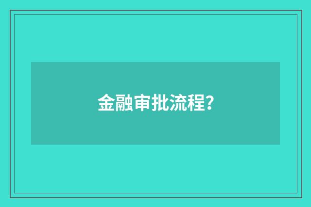 金融审批流程？